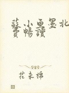 苏小鱼墨北枭免费畅读