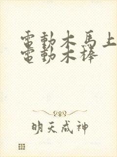 电动木马上两个电动木棒