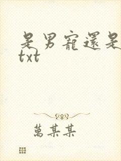 是男宠还是禁脔txt