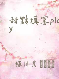 甜点填塞play