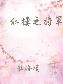 红楼之将军