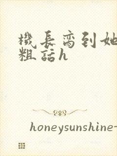 机长脔到她哭h粗话h