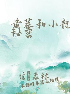 黄蓉和小龙女的秘密