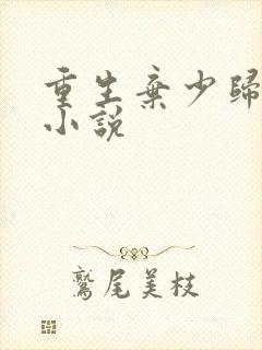 重生弃少归来 小说