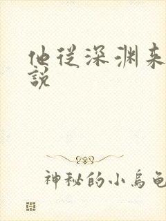 他从深渊来 小说