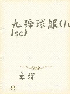 九号球服(1v1sc)