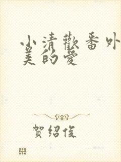 小清欢番外篇完美的爱