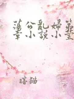 荡公乱妇第51章小说小莹