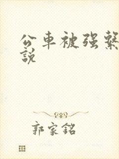 公车被强系列小说