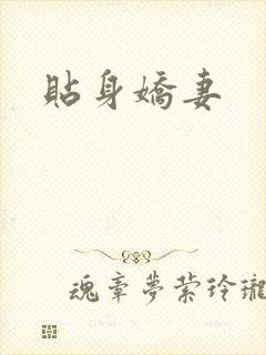 贴身娇妻