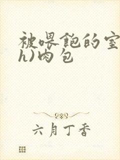 被喂饱的室友(h)肉包