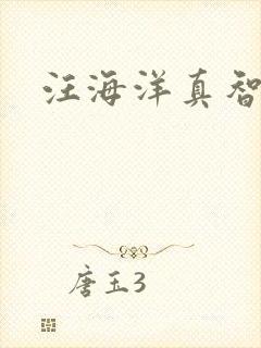 汪海洋真智师太