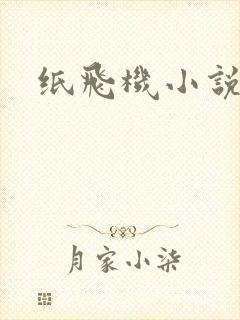 纸飞机小说