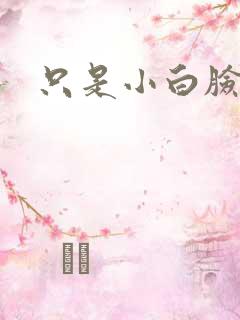 只是小白脸