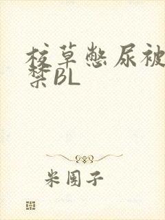 校草憋尿被揉失禁BL