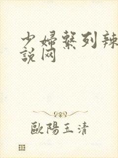 少妇系列辣文小说网