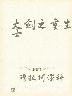 大剑之重生圣骑士