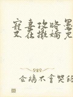 宠妻攻略墨太太又在撒娇免费阅读