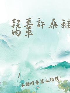 段嘉许桑稚浴室肉车