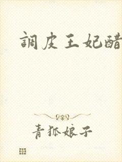 调皮王妃醋王爷