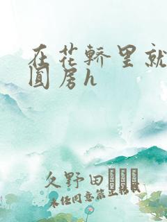 在花轿里就开始圆房h