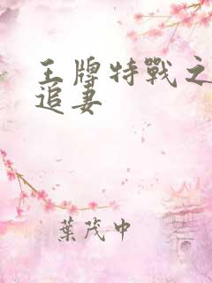 王牌特战之军少追妻