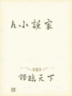 h小说家