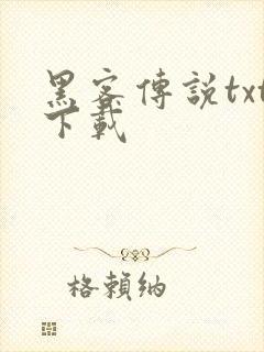 黑客传说txt下载