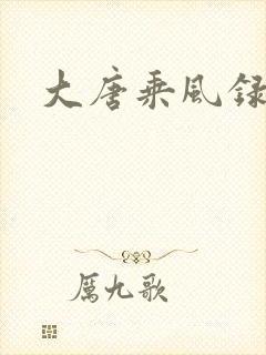 大唐乘风录