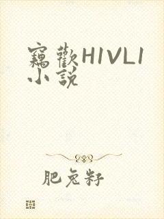 窃欢H1VL1小说