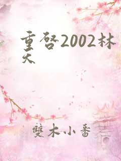 重启2002林天