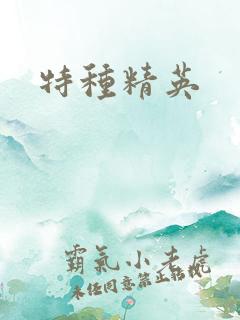 特种精英