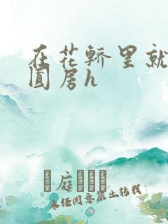 在花轿里就开始圆房h