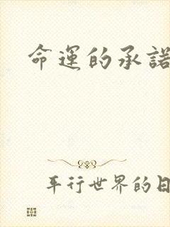 命运的承诺