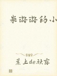 米璐璐的小说