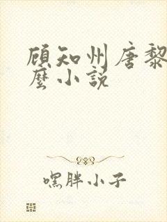 顾知州唐黎叫什么小说