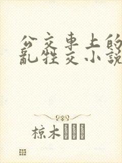 公交车上的疯狂乱牲交小说