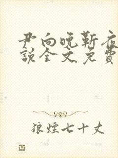 尹向晚靳夜擎小说全文免费阅读无弹窗