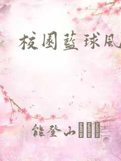 校园蓝球风云