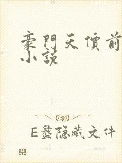 豪门天价前妻 小说