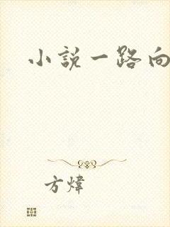 小说一路向西
