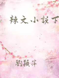 辣文小说下载