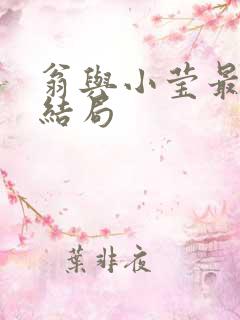 翁与小莹最新大结局