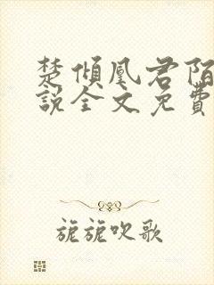 楚倾凰君陌尘小说全文免费阅读