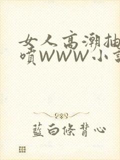 女人高潮抽搐潮喷WWW小说