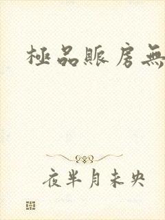 极品账房无弹窗