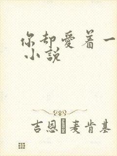 你却爱着一个他 小说