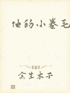 他的小卷毛