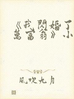 《我闪婚了个亿万富翁》小说