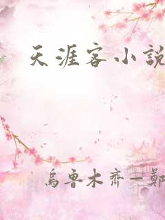 天涯客小说